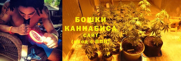 ГАЛЛЮЦИНОГЕННЫЕ ГРИБЫ Абдулино